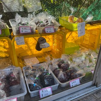 お楽しみの野菜がありました🎃🧅🥔