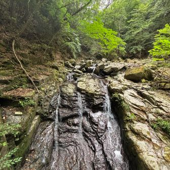 恐渕（おそろしがふち)
又の名を、龍生渕。

看板の解説によると
「この辺りは山伏が亀の甲羅に秘文を書き込んで投げ入れ秘密㊙️修法を行った場所と言われています」とのことです。