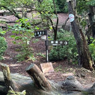 冬季ルートとの分岐