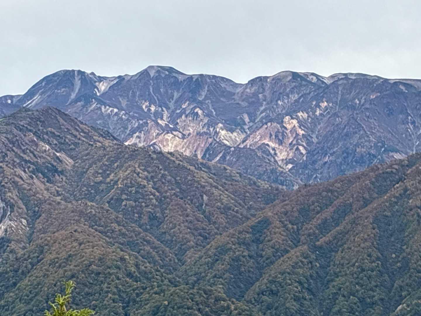 白山✨