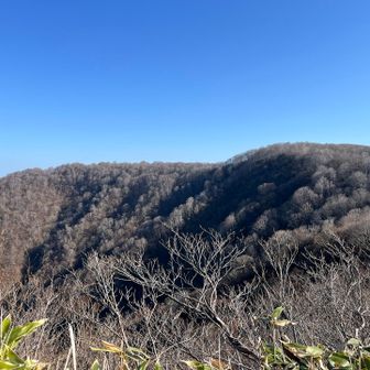 すっかり落葉な山々