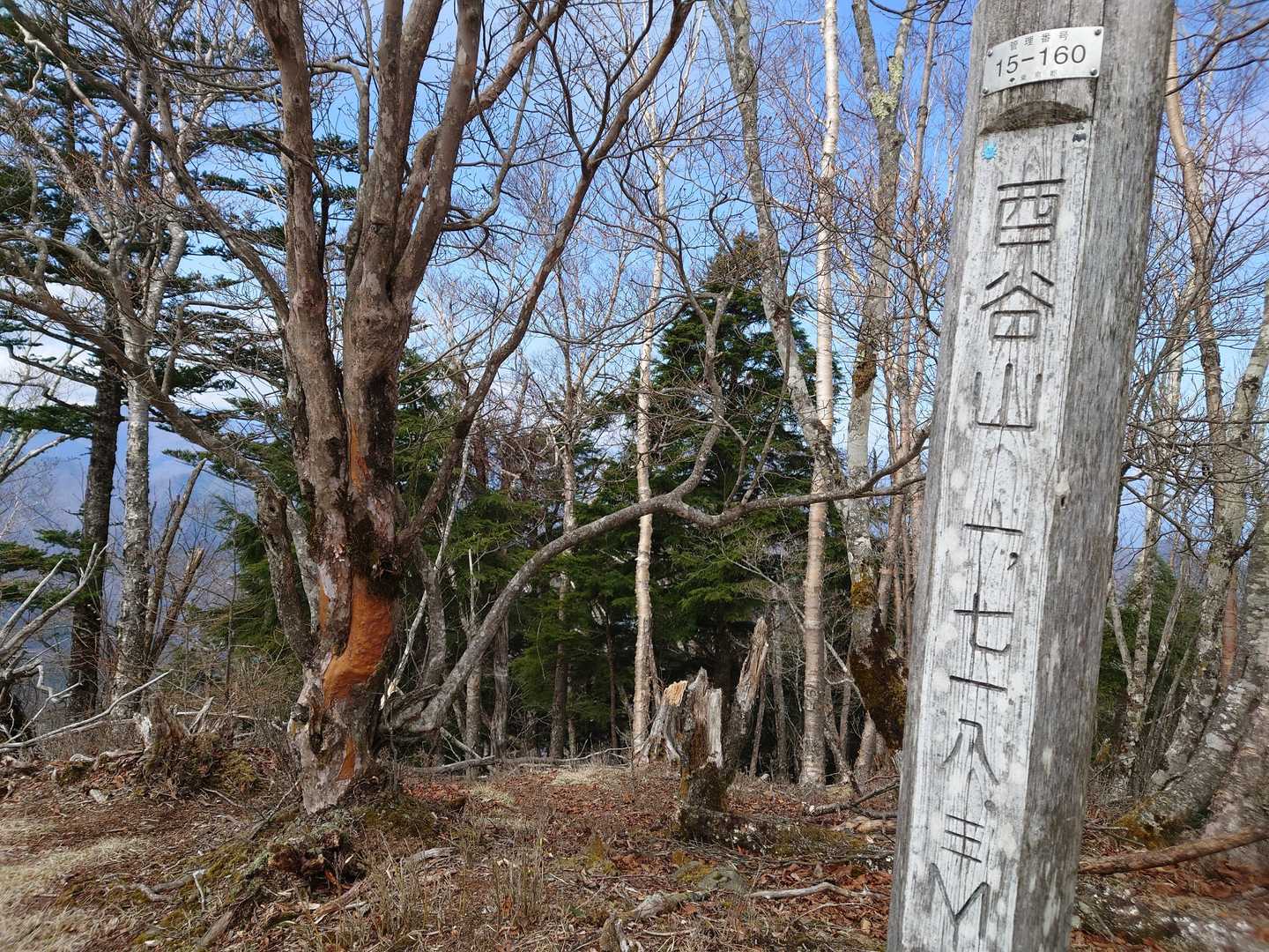 酉谷山では晴れてくれました