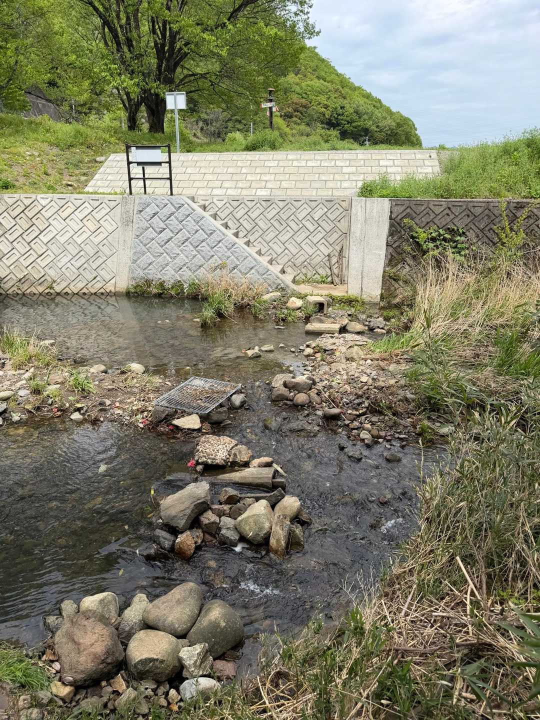鬼飛山-八坂山 周回コースの写真