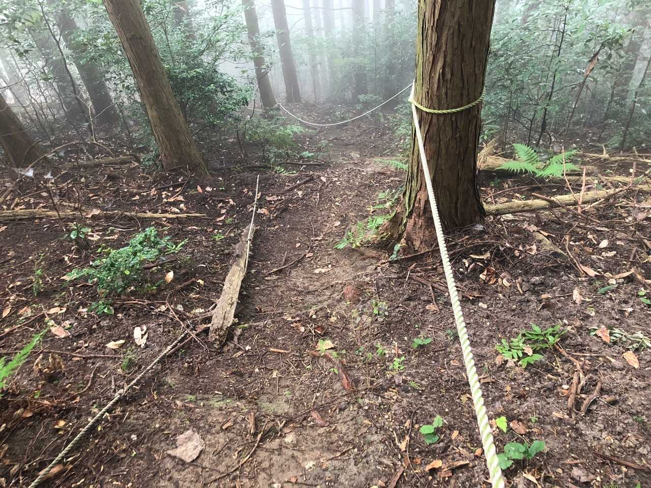 伝わらないけどかなり急😵