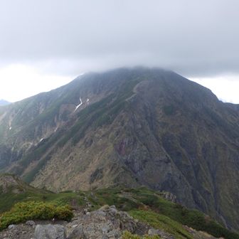 聖岳への登り返し山道。