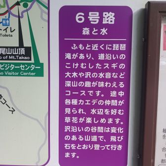 今回もお気に入りの6号路で登ります！