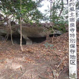 瑞泉寺保存区の穴が無数ある。