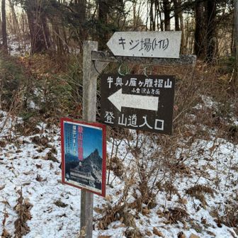 ここが登山口