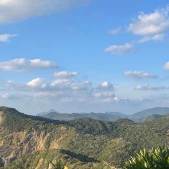 1番奥に野間岳
今岳も見えました( ´ ▽ ` )