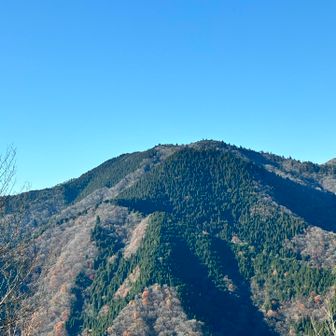 更にクッキリ日本コバ🇯🇵