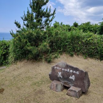 そこそこの階段を登り荒崎（の上）に。


海風の丘展望台とか言うらしいですが、コンクリートの展望台前の桜の木々が伸びまくっていて、見晴らしはないです😅

ただ、せっかく苦労して荒崎に来て、ここに登っておかないと、また来なくてはなりませんからね😅