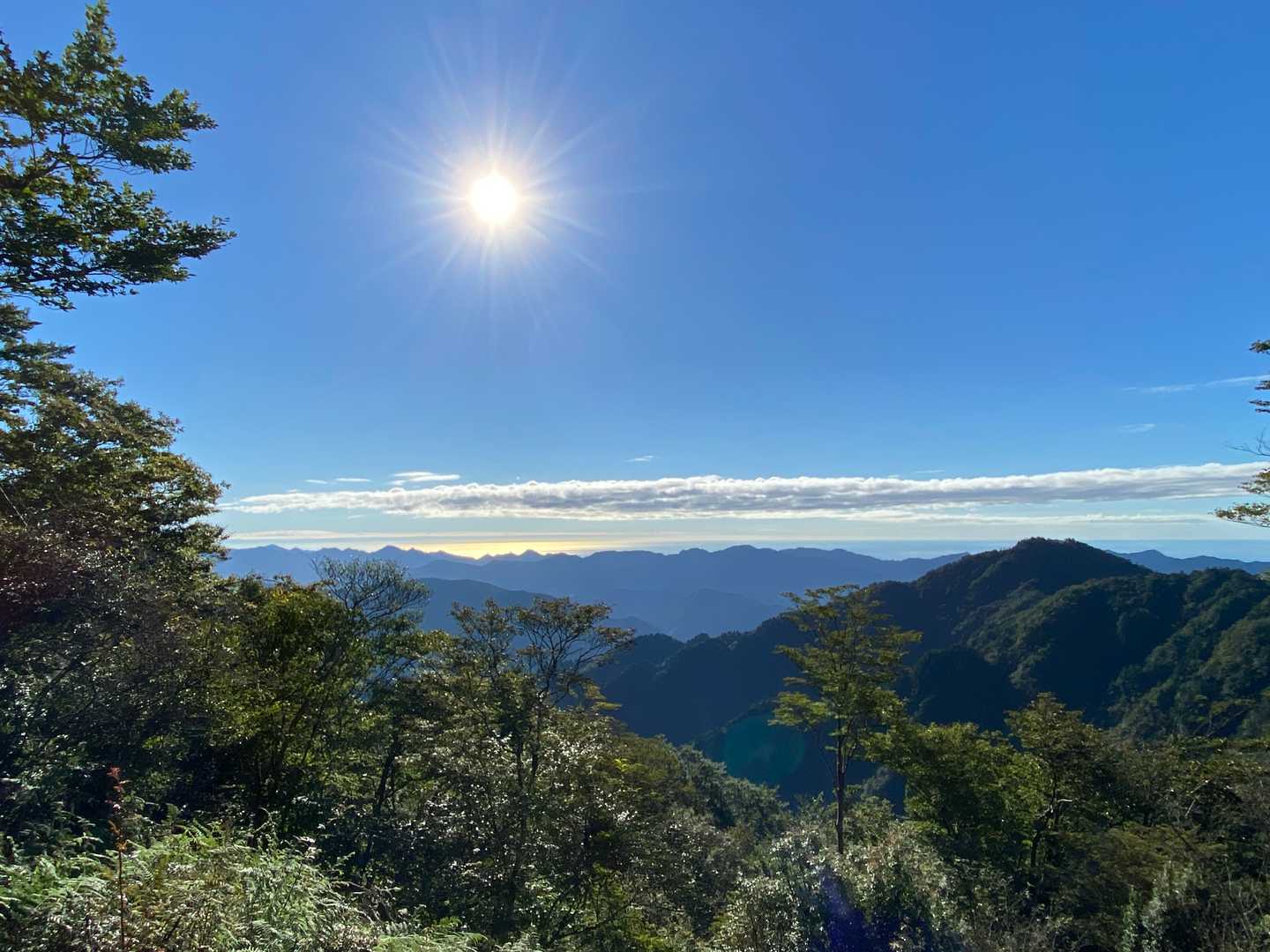 行仙岳-笠捨越-笠捨山 周回コースの写真