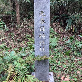 元春日神社と書かれた石柱でした。かつてはここに社殿があったようです。
一等三角点「鹿野山」はこの藪を抜けた先にあるようですが根性が足りなくて断念しました。ピークは近接でゲット。