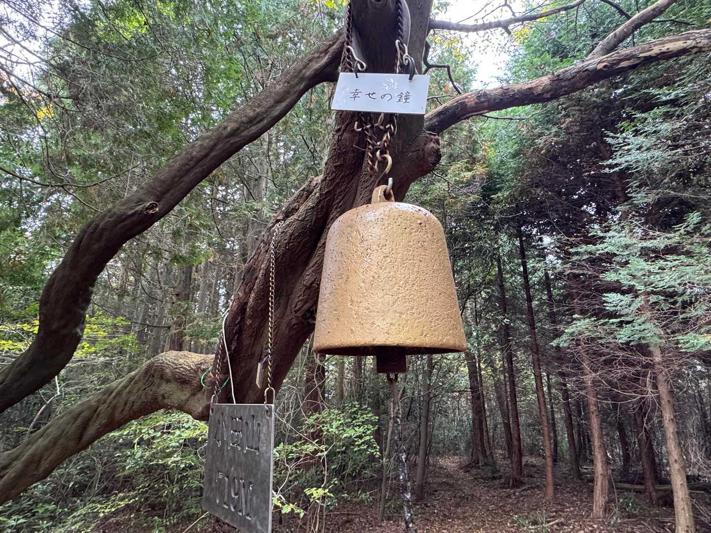 幸せの鐘を鳴らして下山です。
この後、アシーズブリッジに行き、ワンコハイクしてきたんですよって話をすると、「えっ、どうやって犬が登るの？」と。
登るのですよ。はしごのところが登れない位で、他はガシガシ、ピョンピョンと楽しそうに登っていくのです。
ついていく私はしんどい。