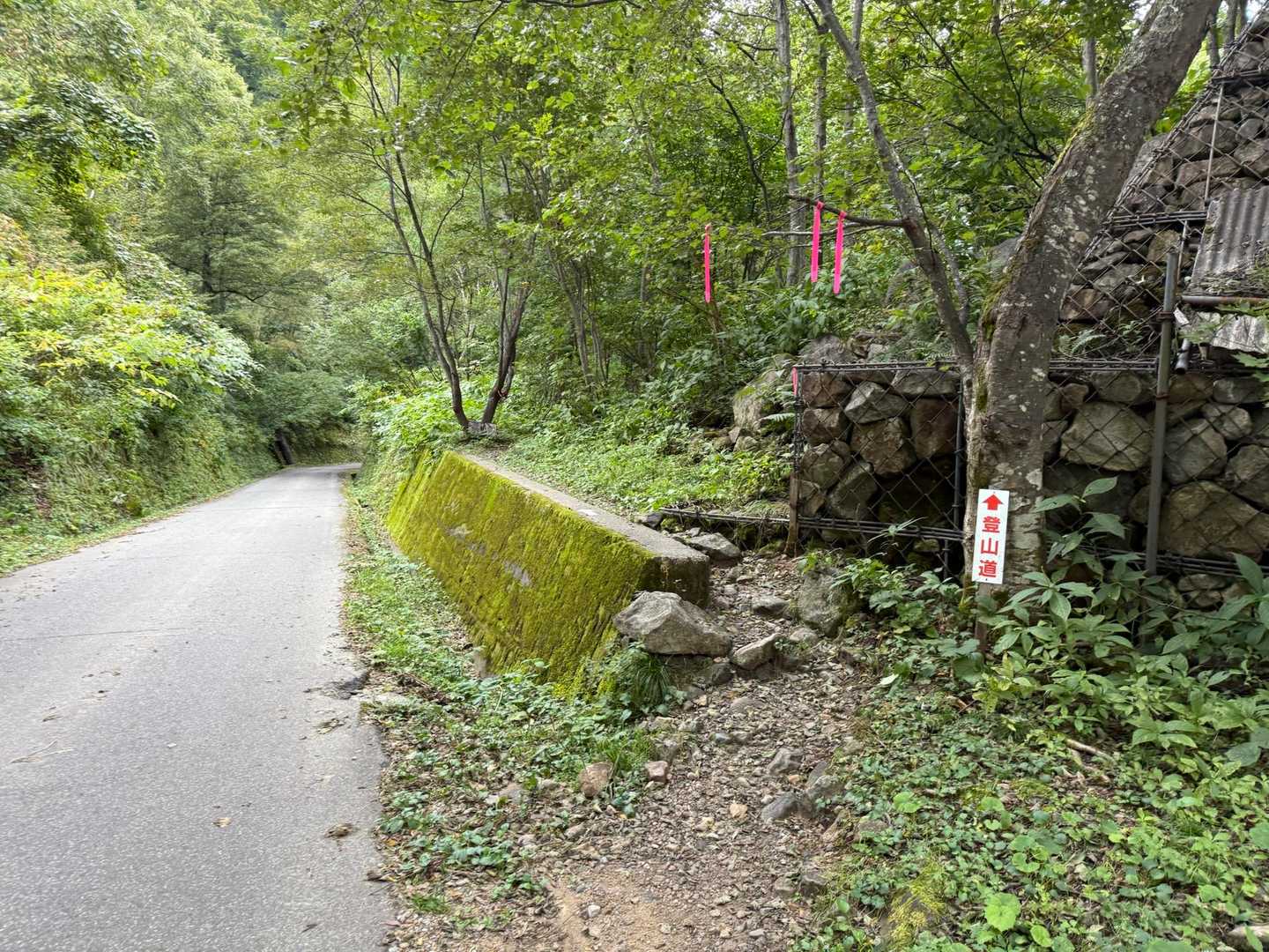 車道と登山道…
迷う所😅