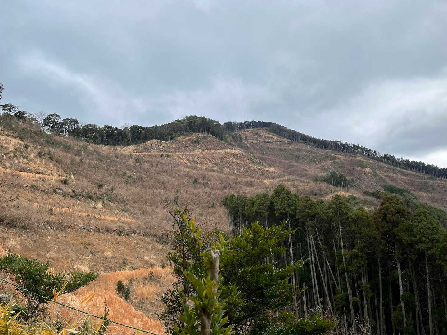 向こうに見えるのが山頂⁈