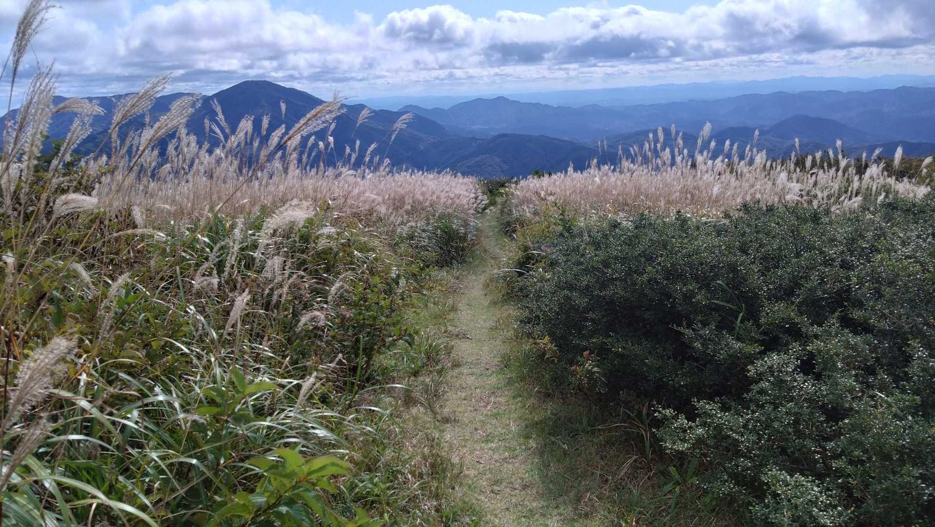 ここ好き🌾