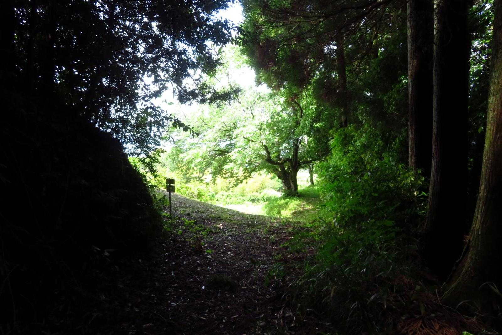 無事登山口に到着😀
