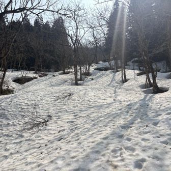 山頂までほぼ雪の上。