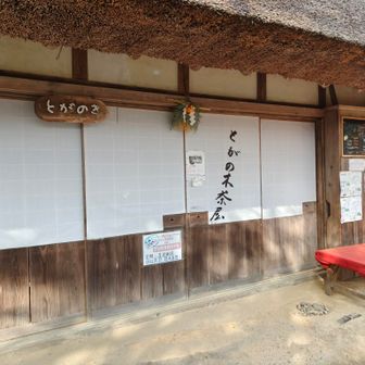 おやすみでした