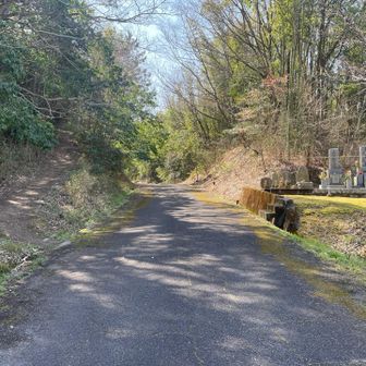 お墓が見えたら、左の取付きへ