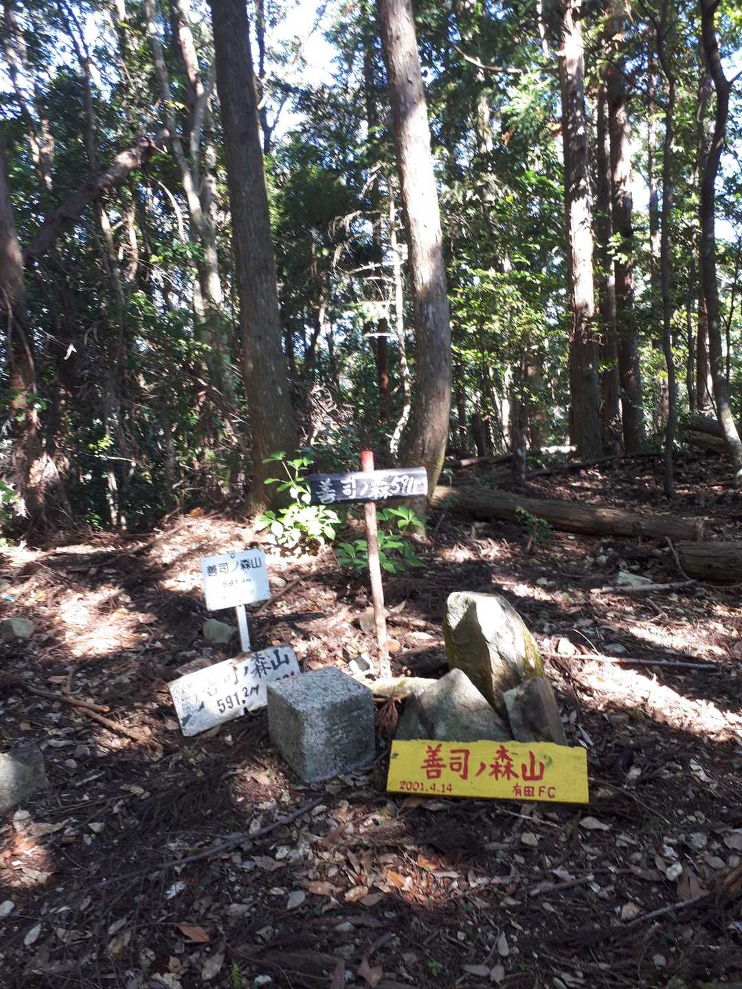 善司ノ森⛰️