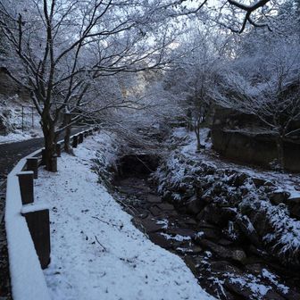 途中の景色が綺麗