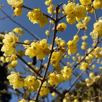 良い時期に来ました♪