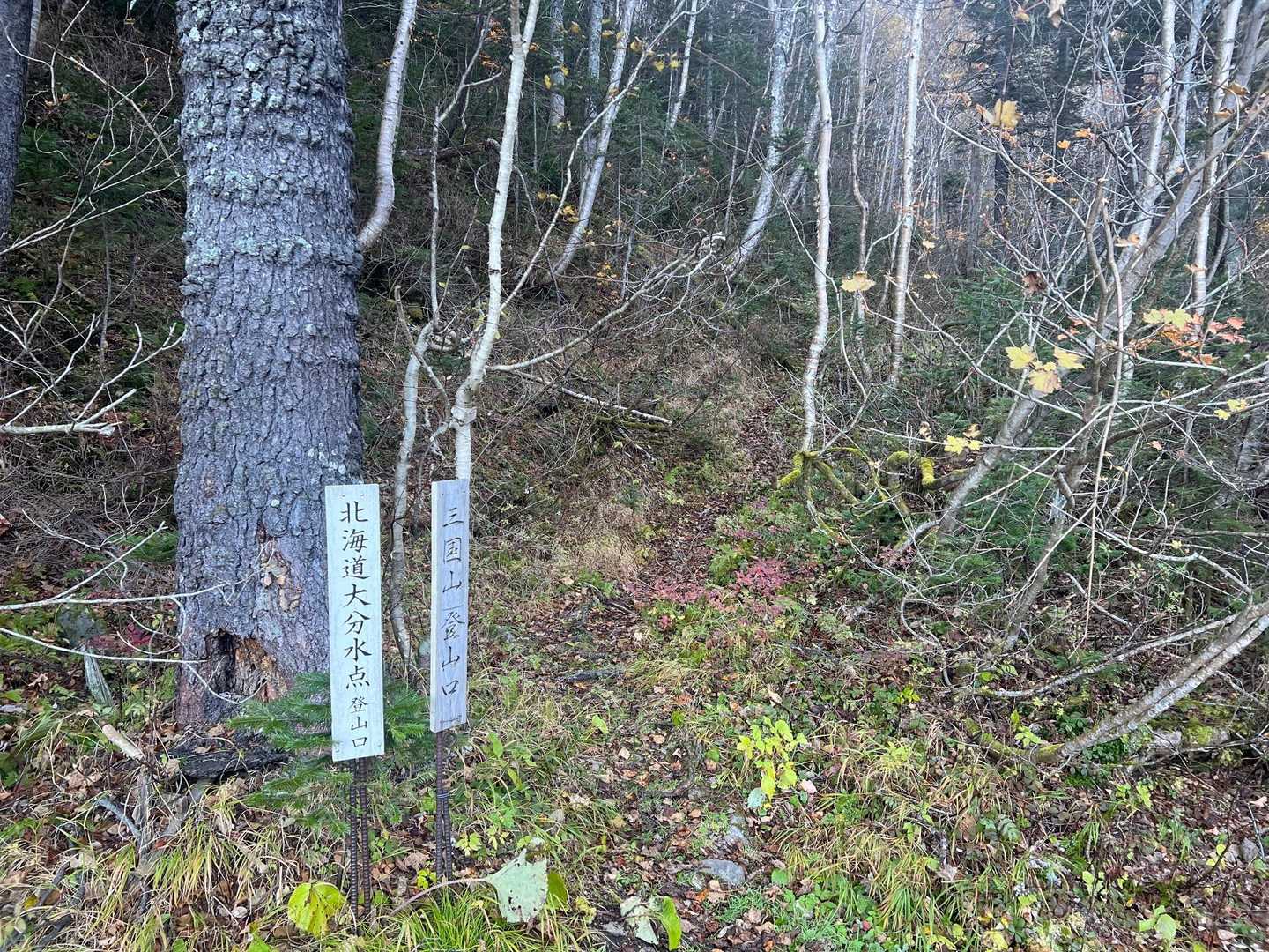 登山口