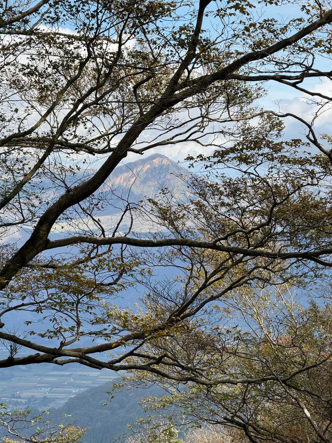 チラリと烏帽子岳　冬になって落葉したら、もう少し見えそう👀