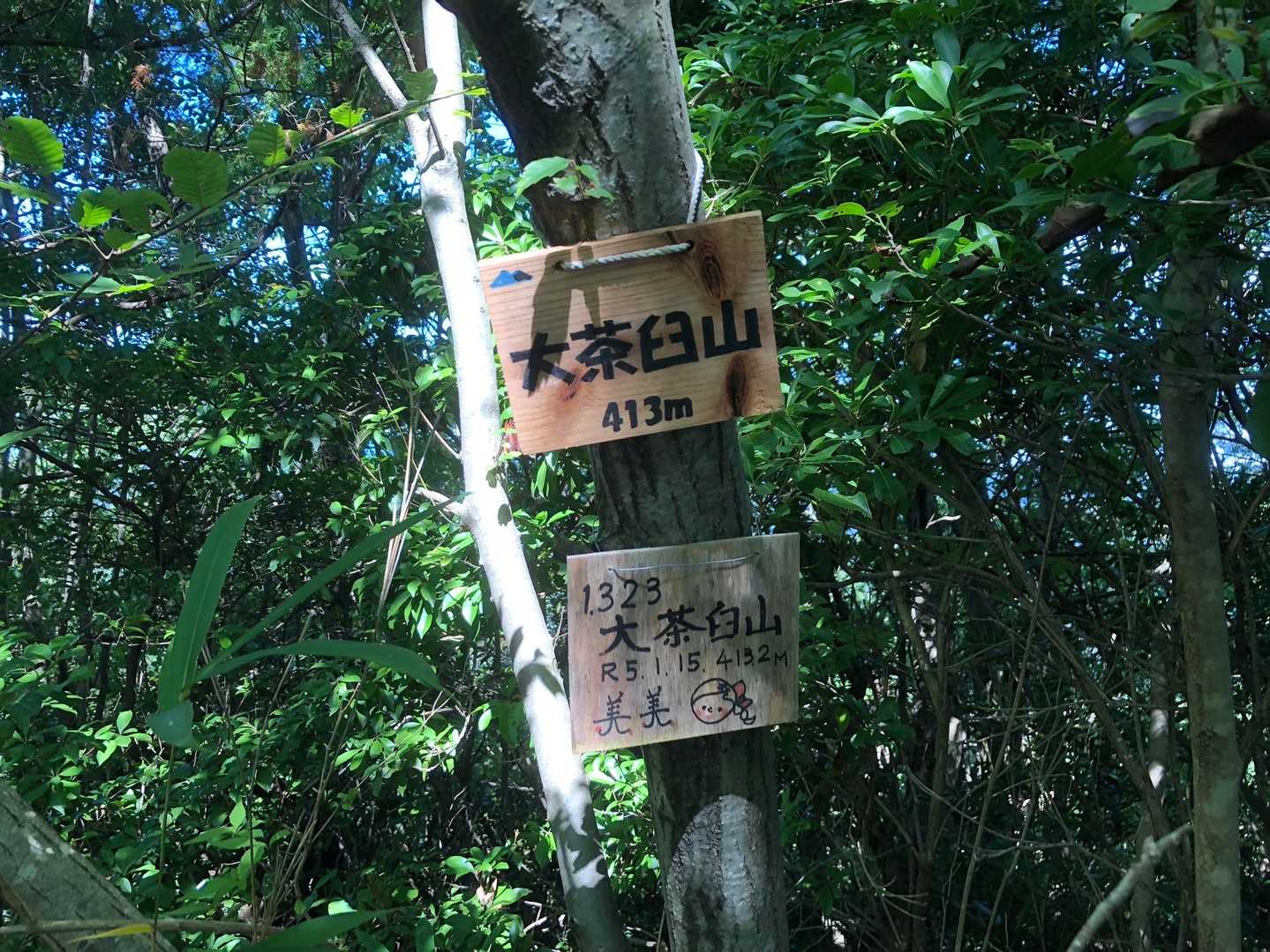 大茶臼山山頂です
