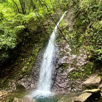 一筋の綺麗な滝は落差24m😍
