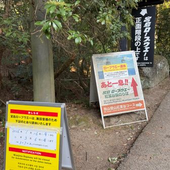こういうことでした💦　今日から運休😭
