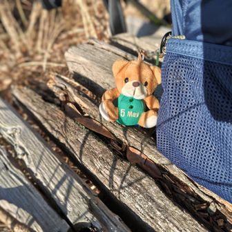 お弁当には早いのでちょっとおやつタイム🥯