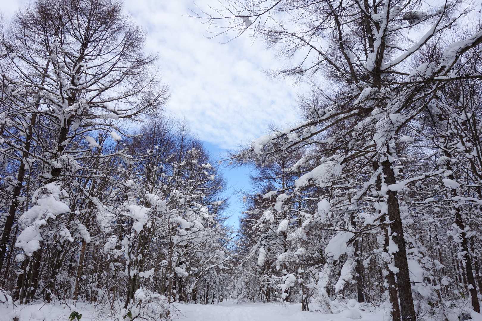 青空が近寄ってきたぞ😆