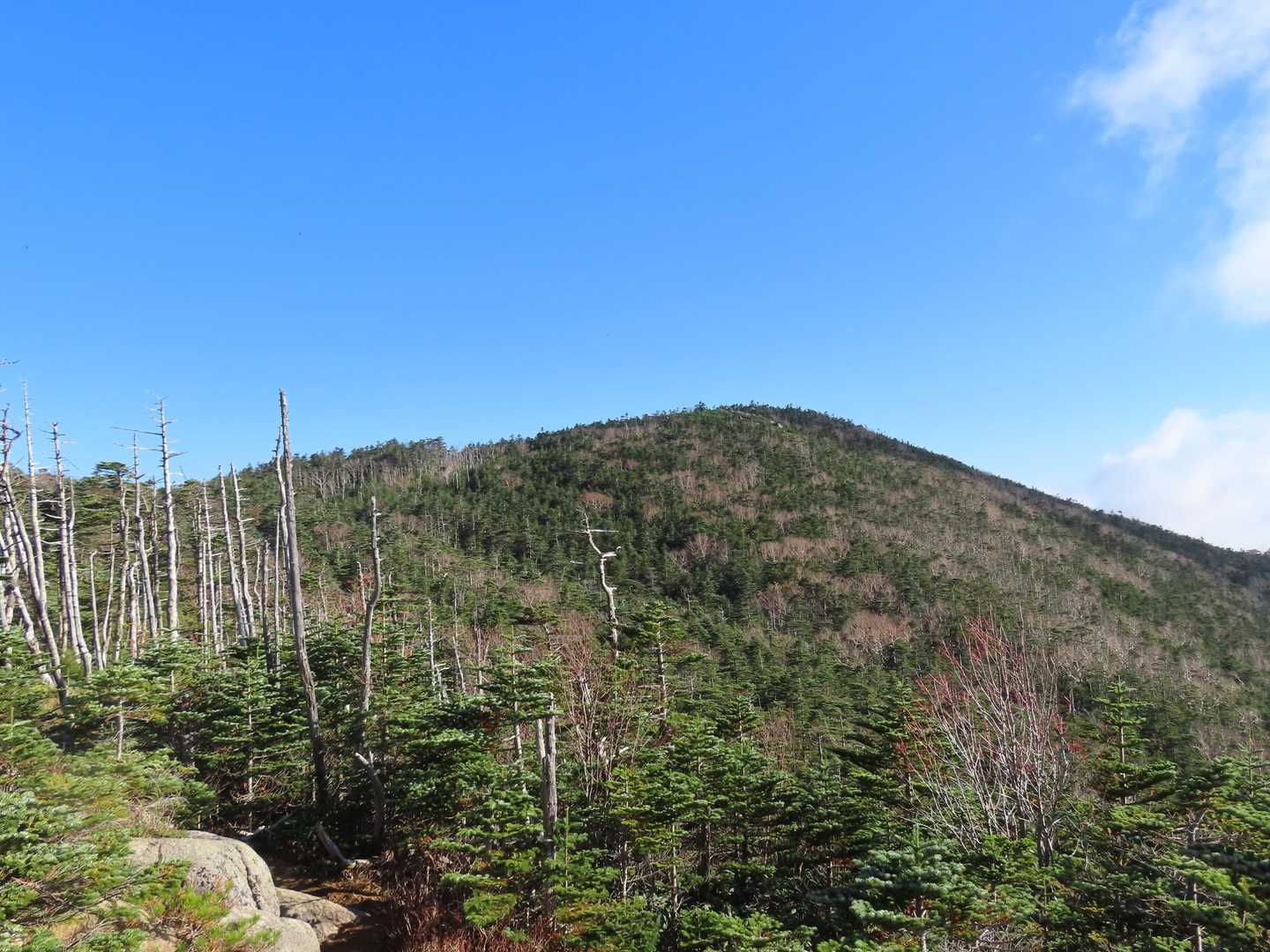 北奥仙丈岳
のっぺりとしているが奥秩父山塊の最高峰（2601m）