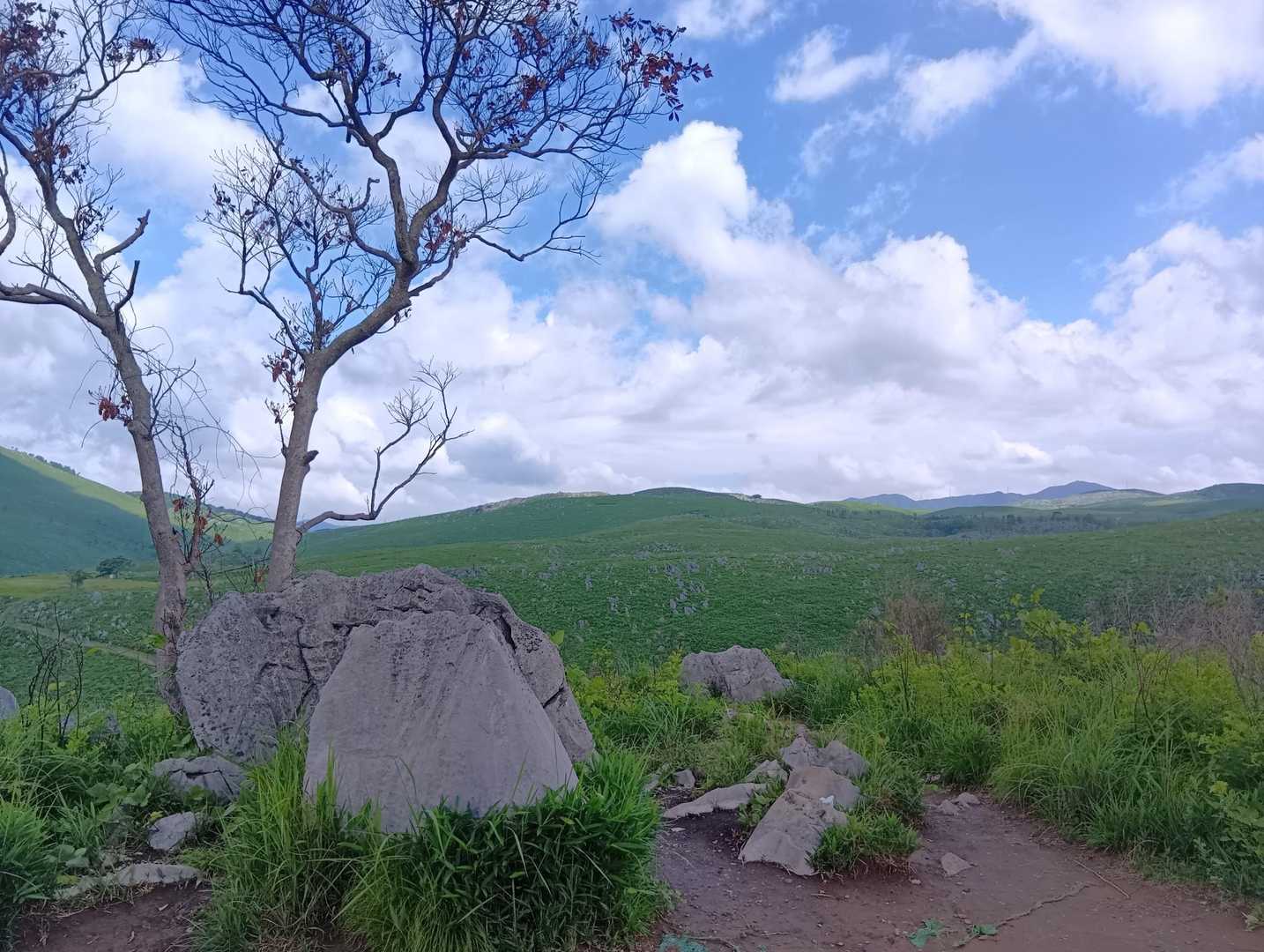 若竹山 周回コースの写真