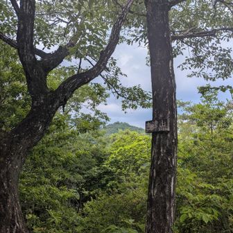 古津山 山頂