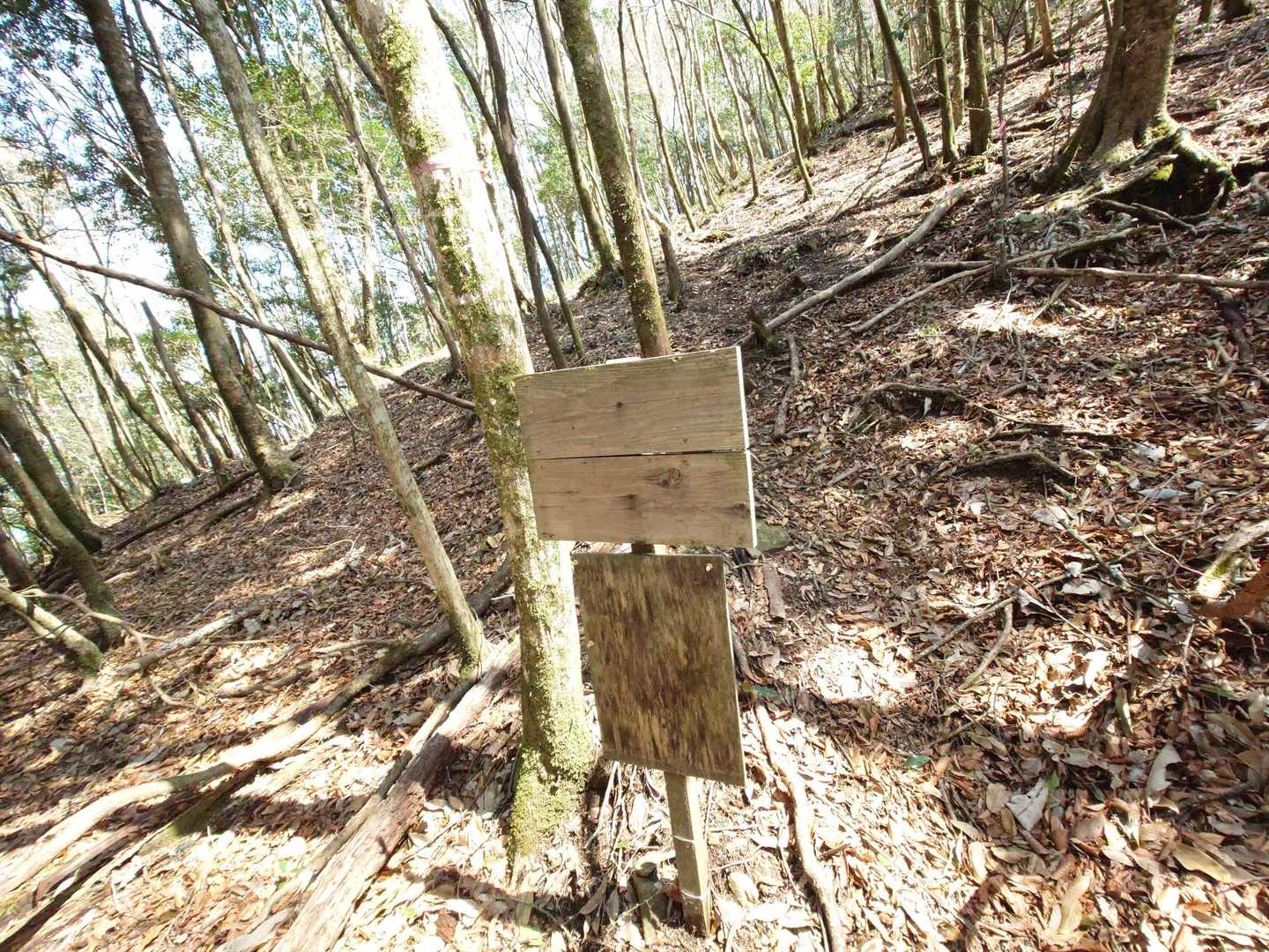 何が書いてあったのかなぁ ⁉️