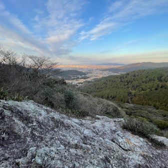 右奥薄っすらと知多半島！