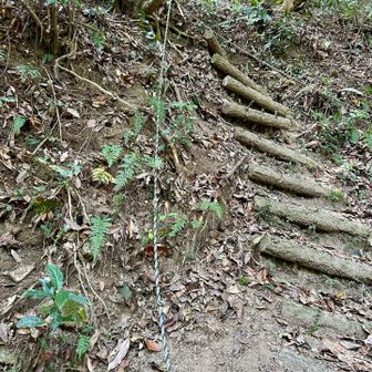 落ち葉が積もって滑りやすいところにはロープ