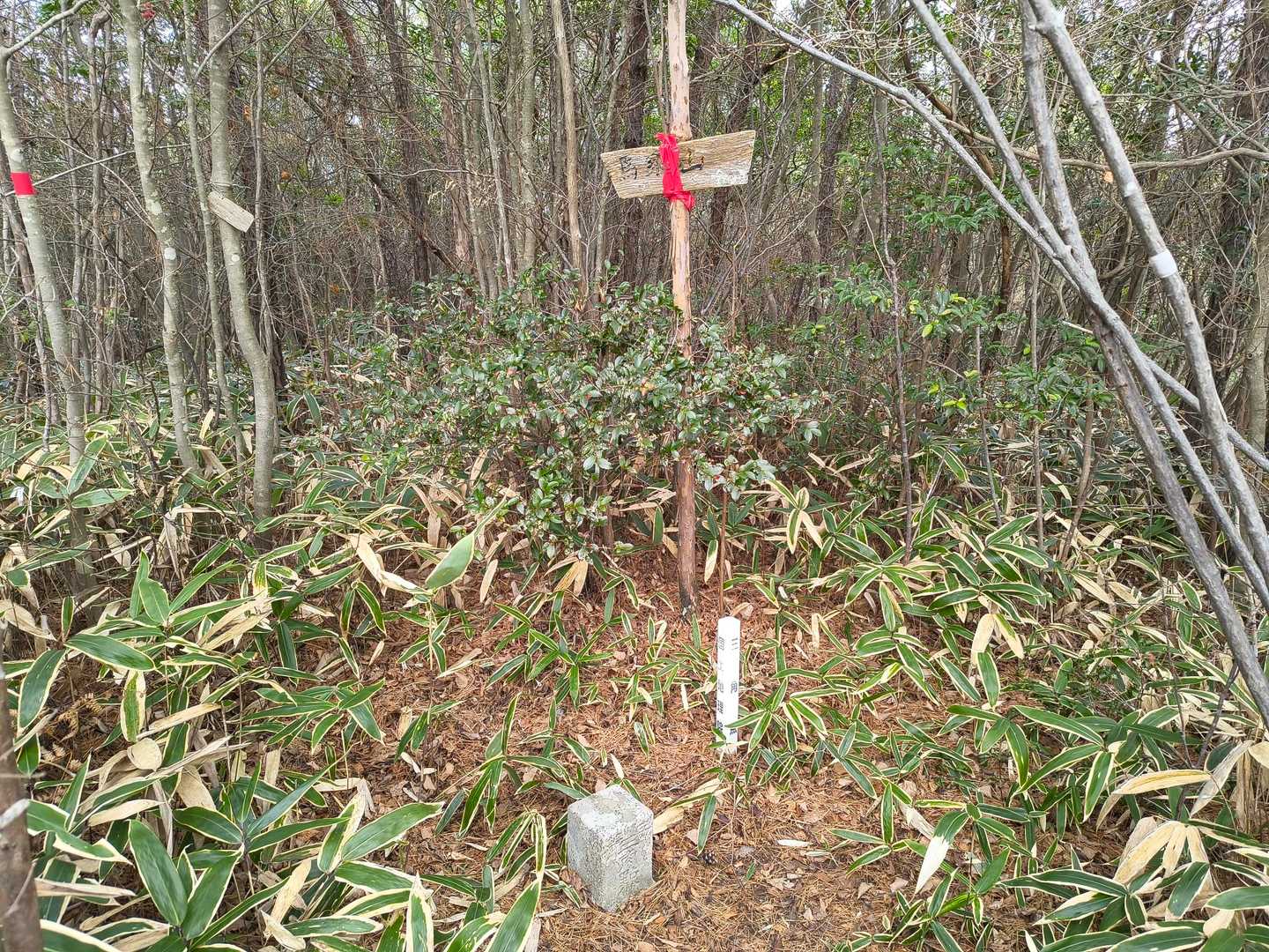馬乗山山頂と三角点