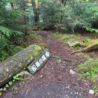避難小屋、ここから現れた人が水場が見つけられなかったと言っていた