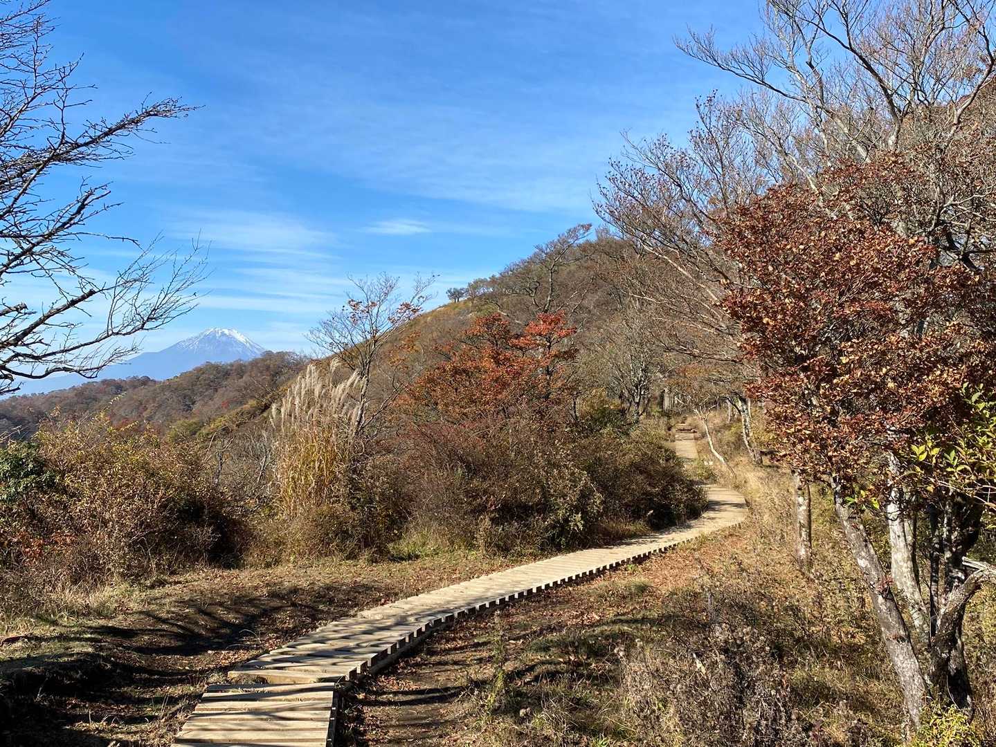 菩提峠-表尾根-塔ノ岳 往復コースの写真