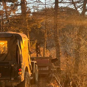 あの夜の風のかな外にいたパパとママ
甲斐犬すごいとしか言えない