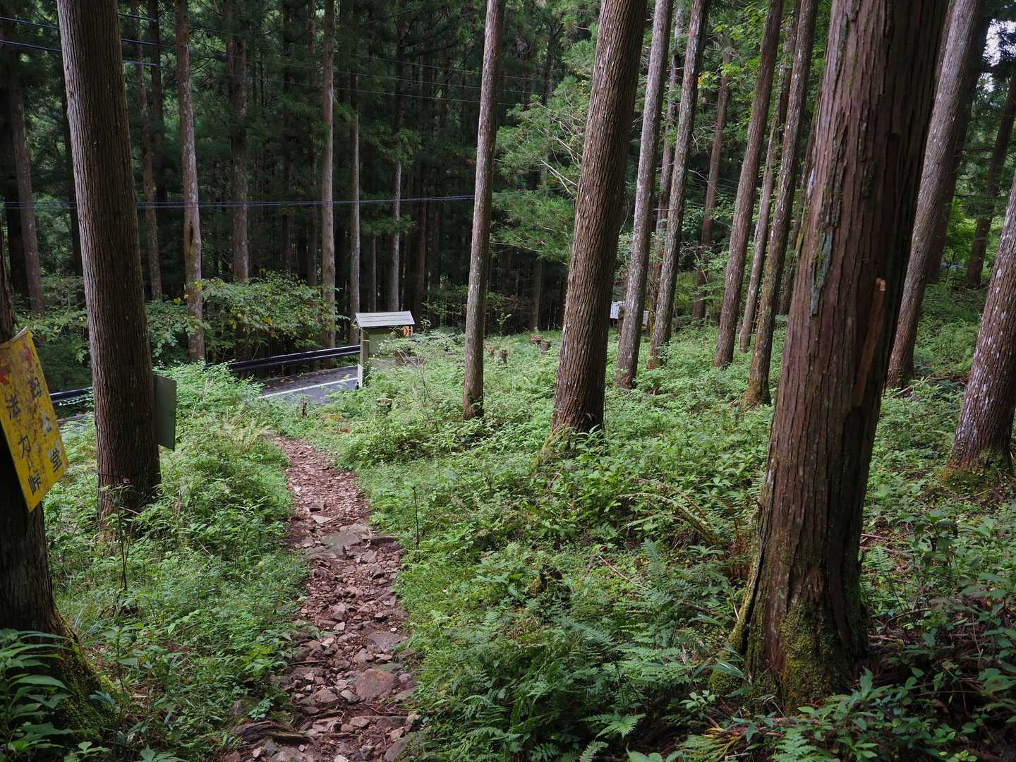 降りてきました。