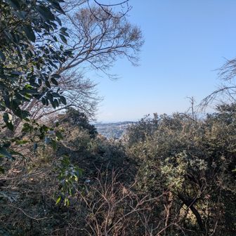 すごーくうっすら富士山