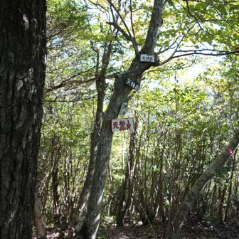天神岳