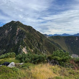スゴノ頭2431mから見る越中沢岳2592m