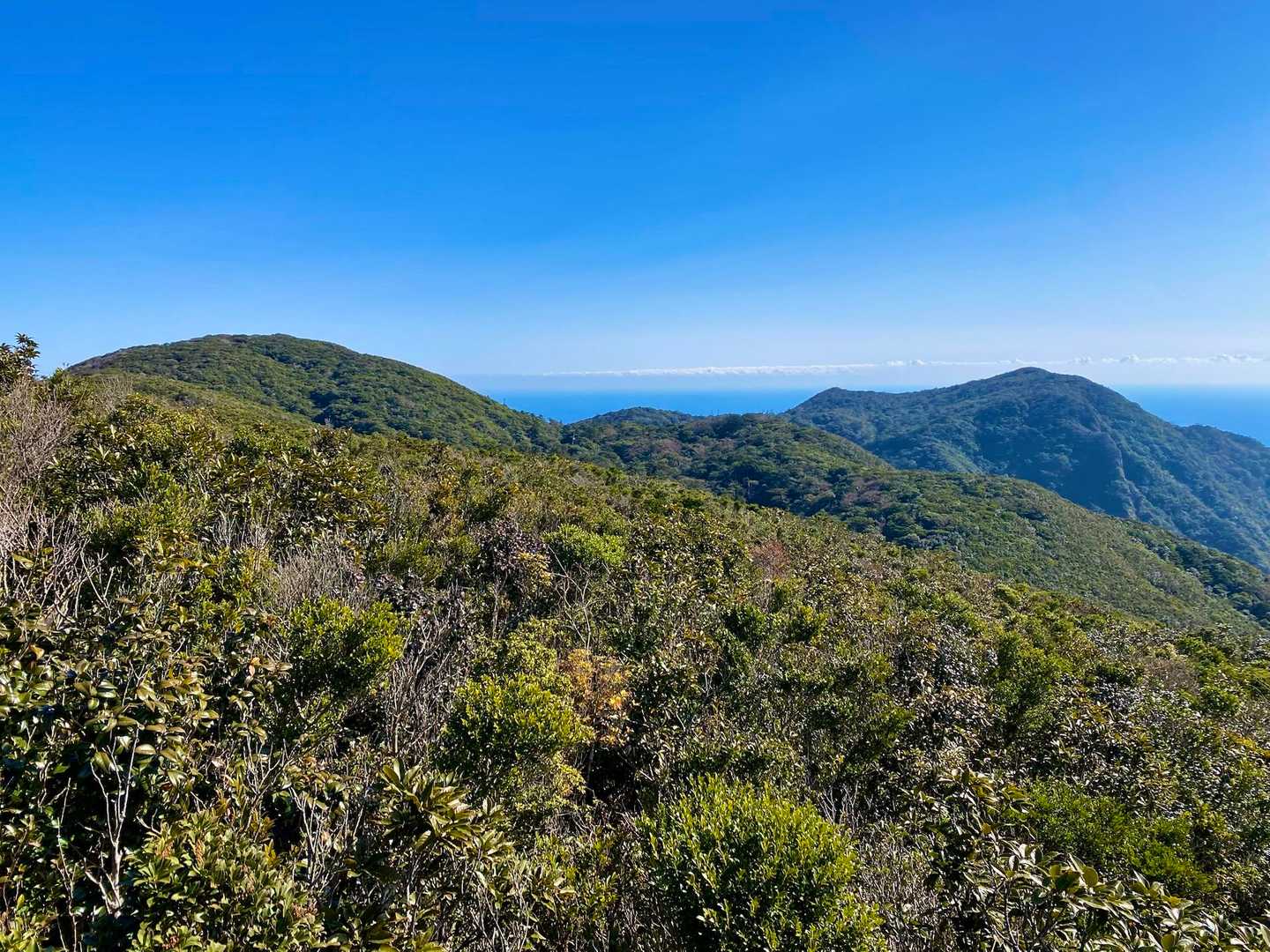こちらが、今から向かう山々。
稲尾岳へは"枯木岳"経由です。
左端の穏やかな山容の山が枯木岳で、右端の青っぽく見える山が稲尾岳です。
稲尾岳は、まだ遠いなぁ。